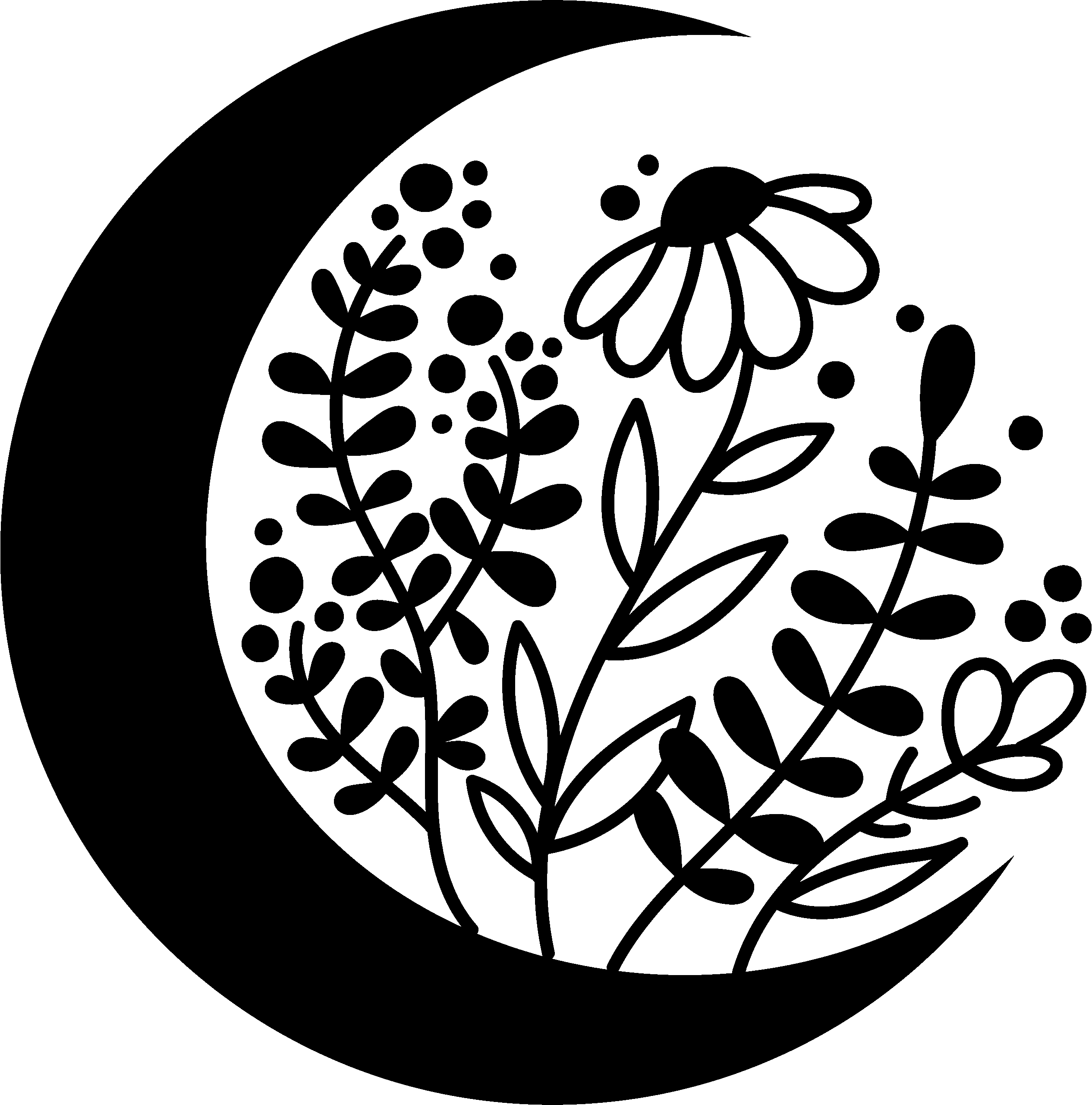 Descargar Fondo