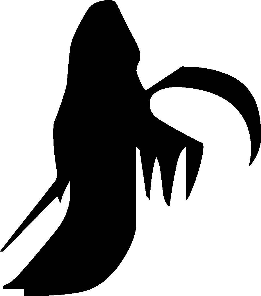 Descargar Fondo